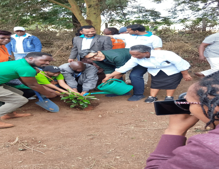 A JOINT TREE PLANTING ACTIVITY BETWEEN KENYATTA UNIVERSITY AND ASA GROUP OF COMPANIES AT THE UPPER ZONE KENYATTA UNIVERSITY. ON 28TH MAY, 2023.