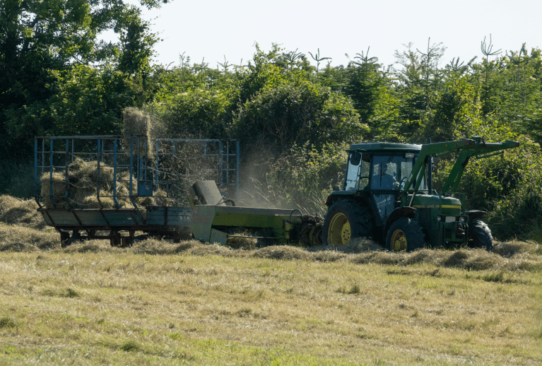 Bachelor of Science in Agribusiness