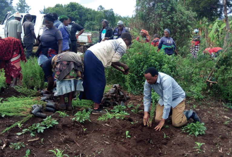 Bachelor of Science in Environmental Studies and Community Development