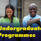 Undegraduate Programmes